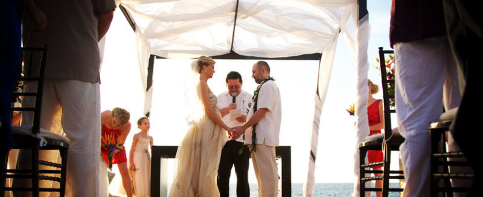 Cover picture-L