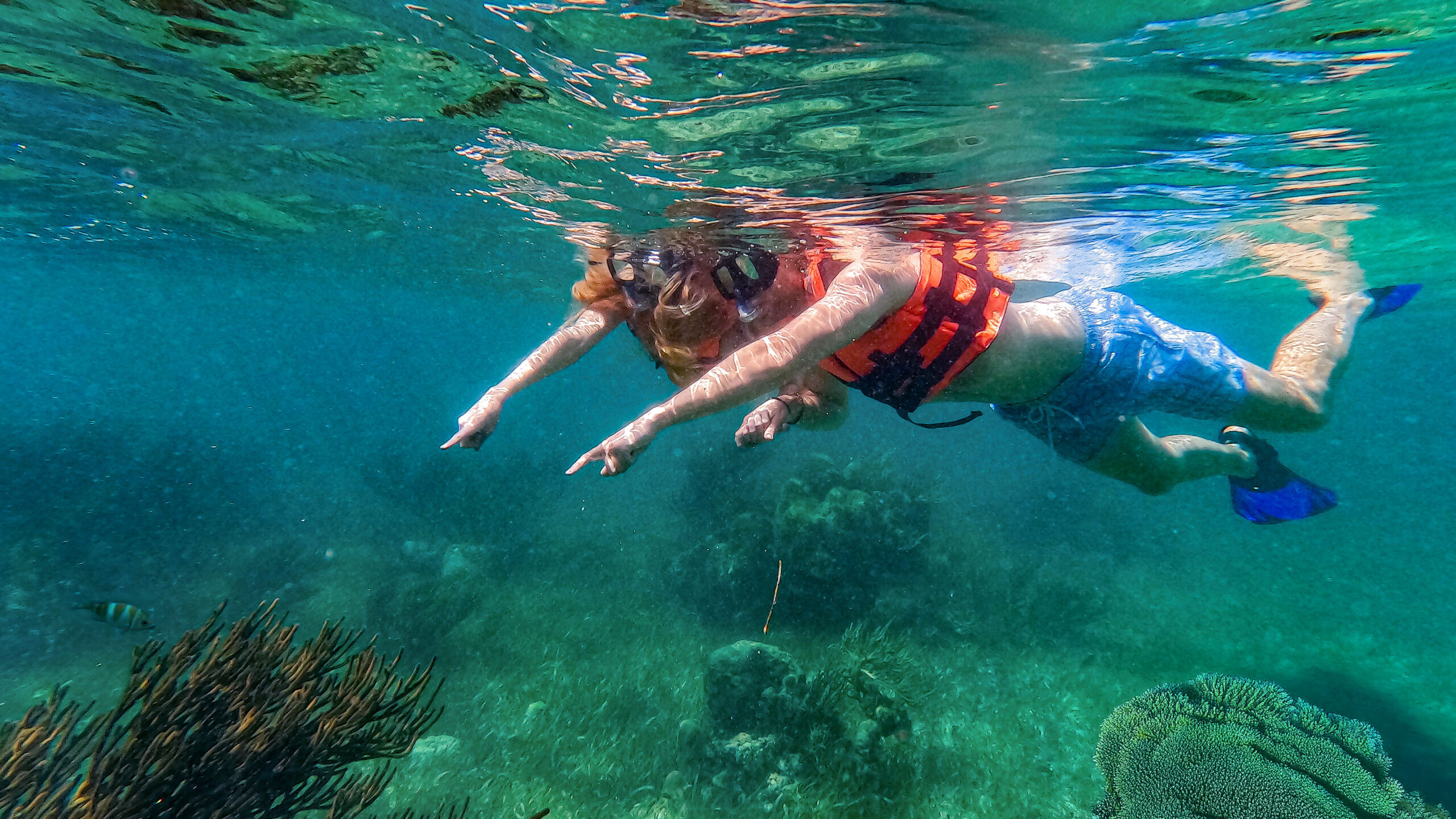 Puerto Morelos Coral Reef